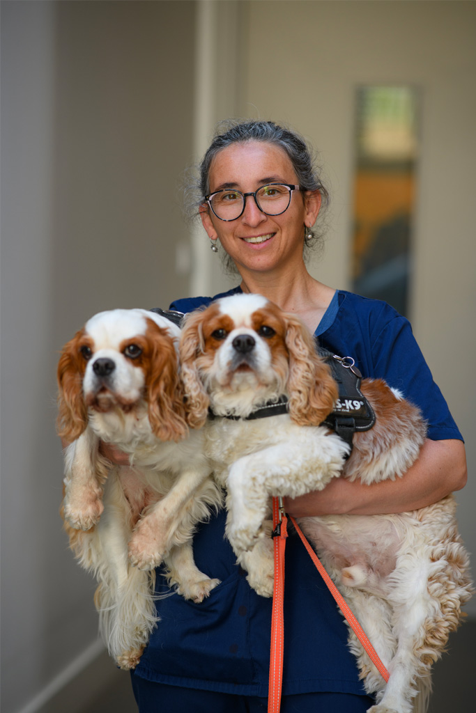 Clinique_veterinaire_carla_mestre_02 Vétérinaires du Piémont