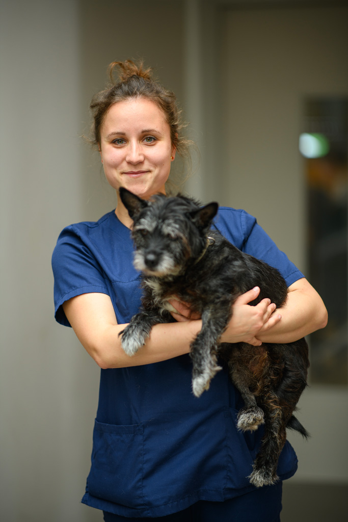 Clinique_veterinaire_valerie_scholl_02 Vétérinaires du Piémont