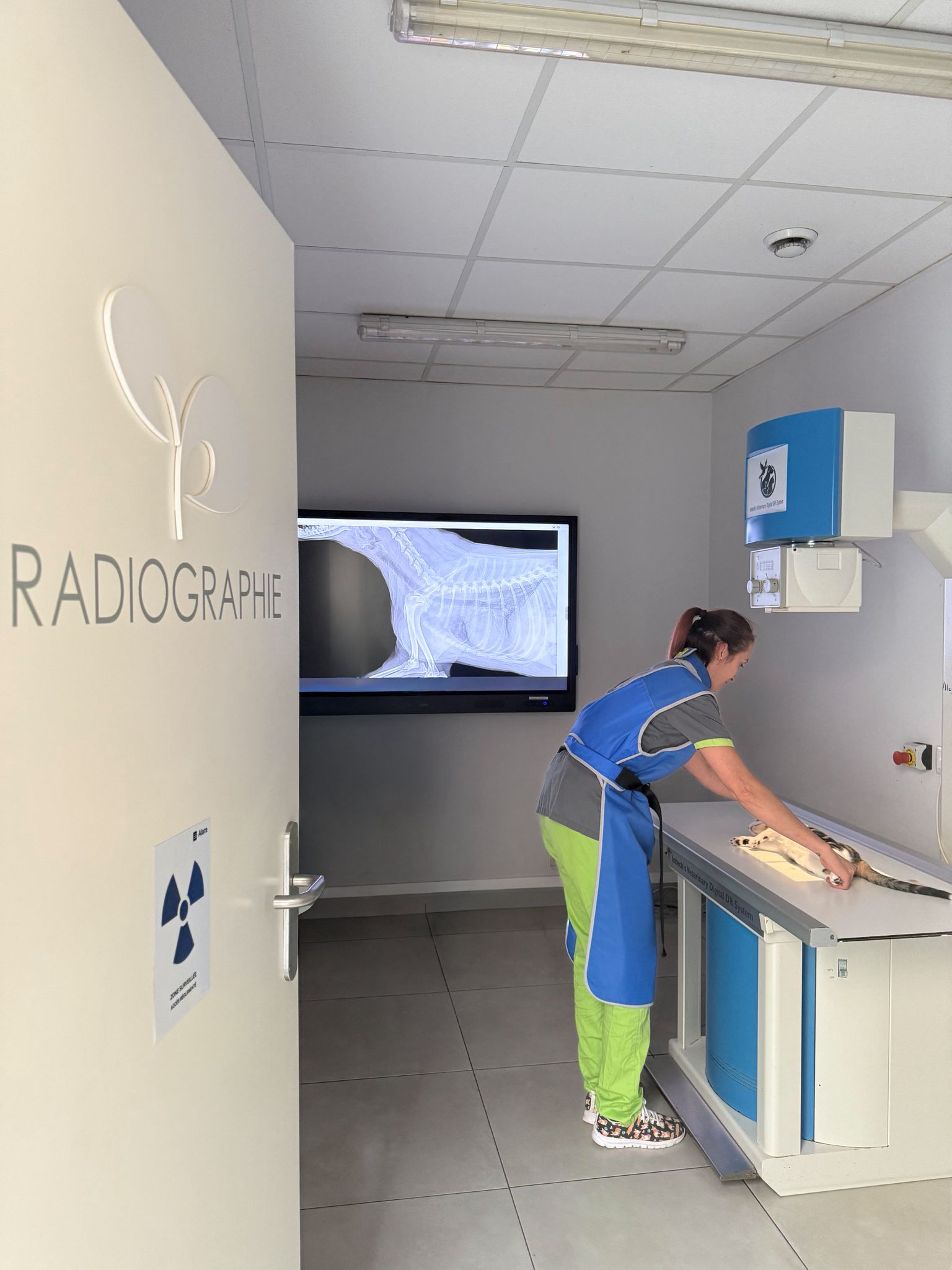 radiographie_clinique_veterinaire_nay
