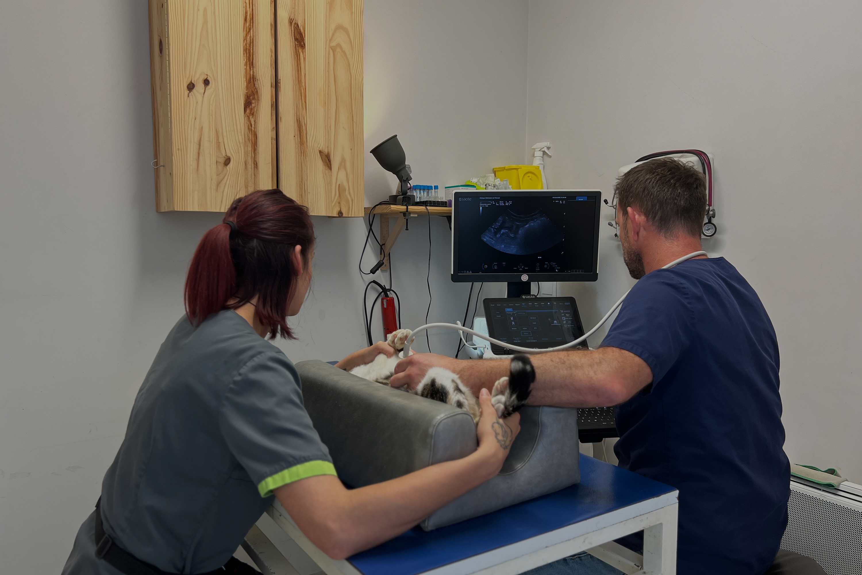 clinique_radiographie_echographie_veterinaire